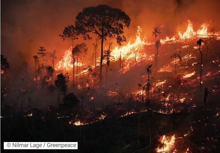The Burning Amazon Rainforest